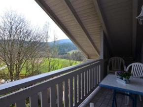 Holiday Home in Waldkirchen with Sauna Balcony Garden